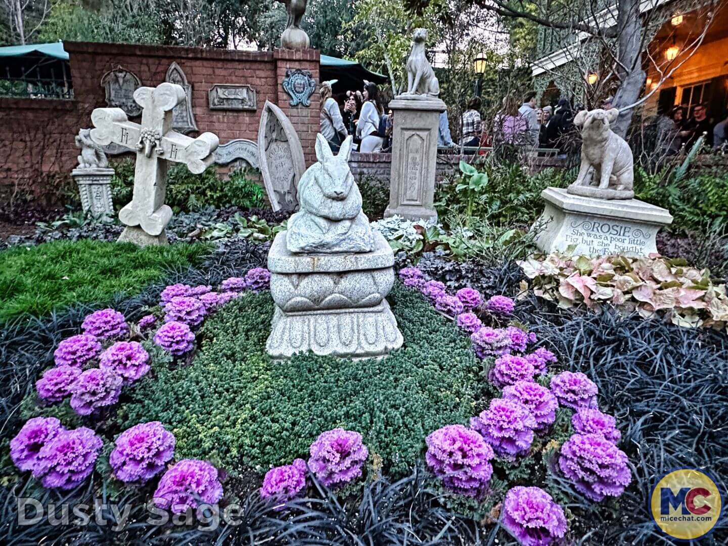 , Disneyland Update: Dropped off, Burned Out & Forgotten…