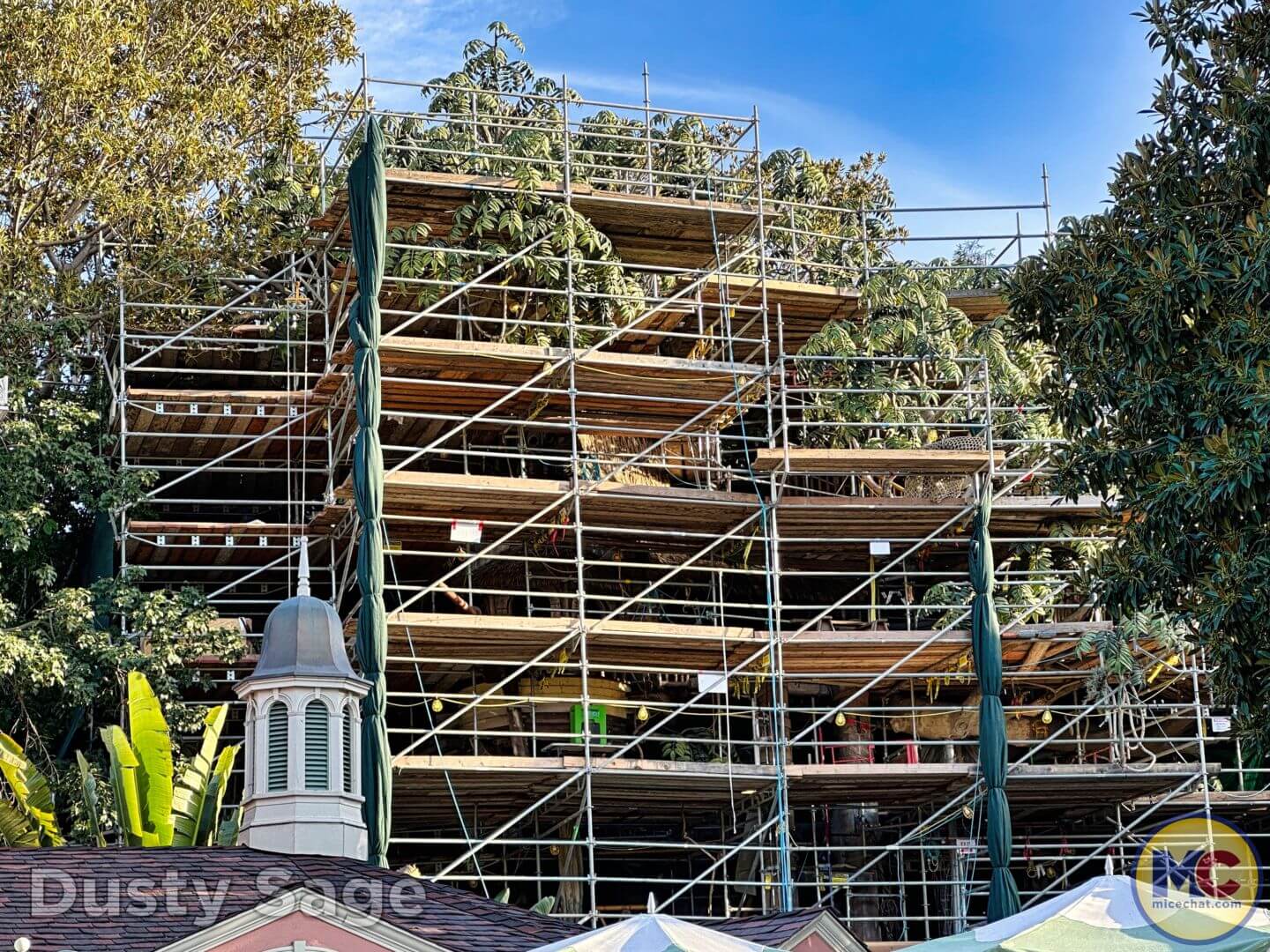 , Disneyland Update: Dropped off, Burned Out & Forgotten…