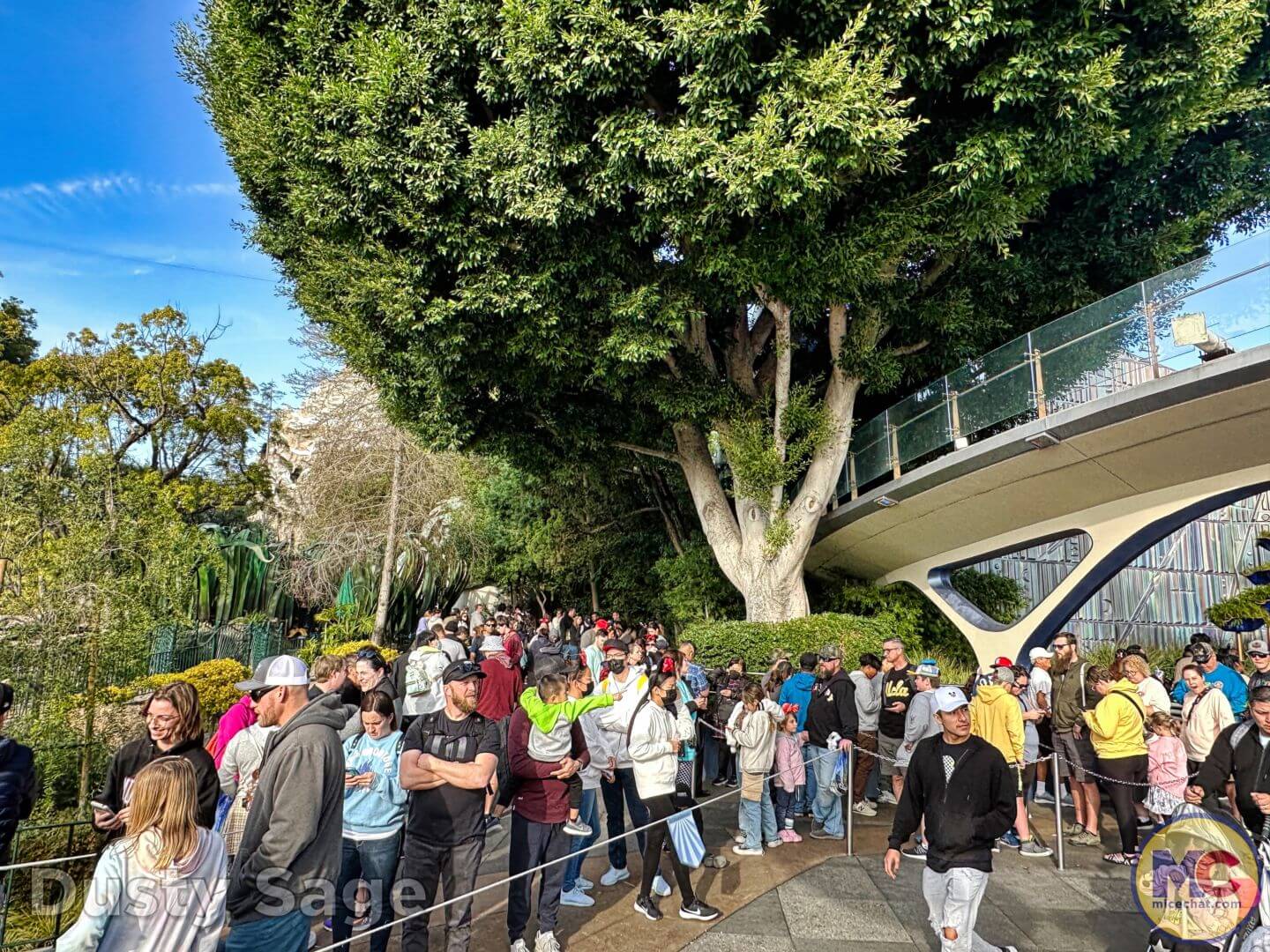 , Disneyland Update: Dropped off, Burned Out & Forgotten…