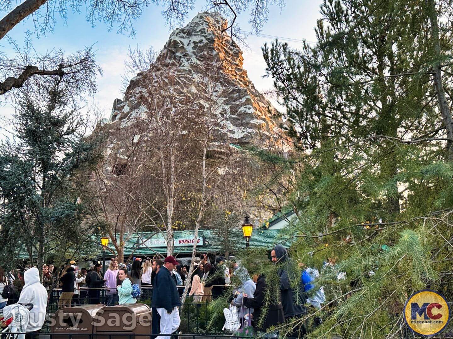, Disneyland Update: Dropped off, Burned Out & Forgotten…