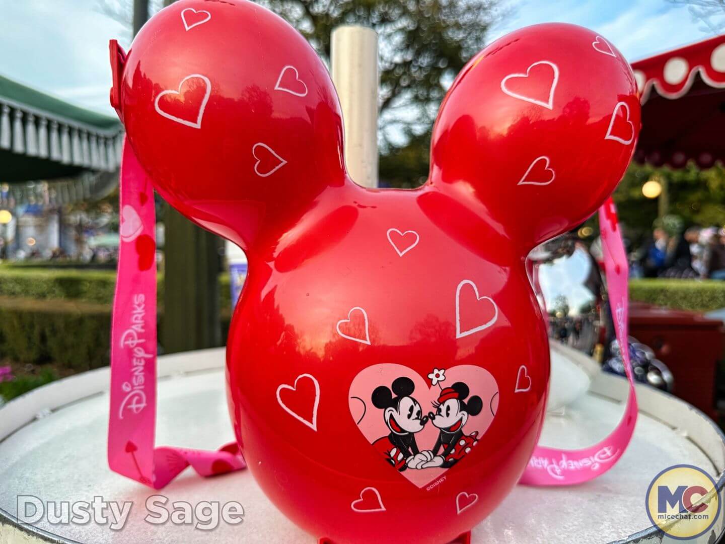 , Disneyland Update: Dropped off, Burned Out & Forgotten…