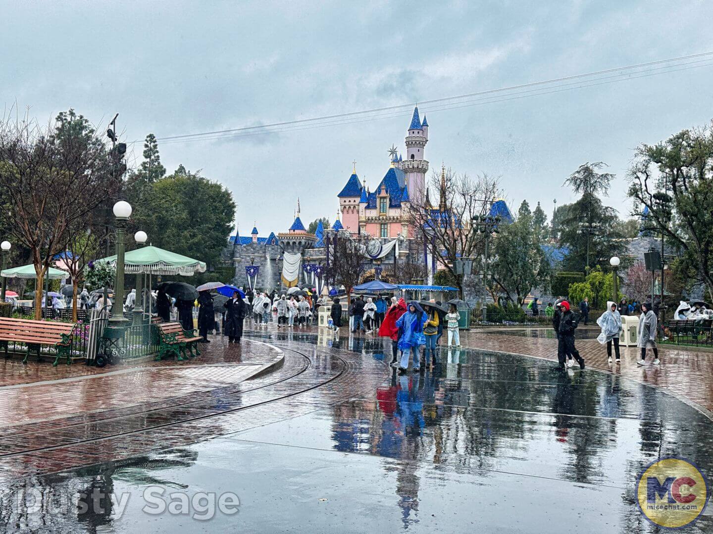 , Disneyland Update: Magic Finally Happened!