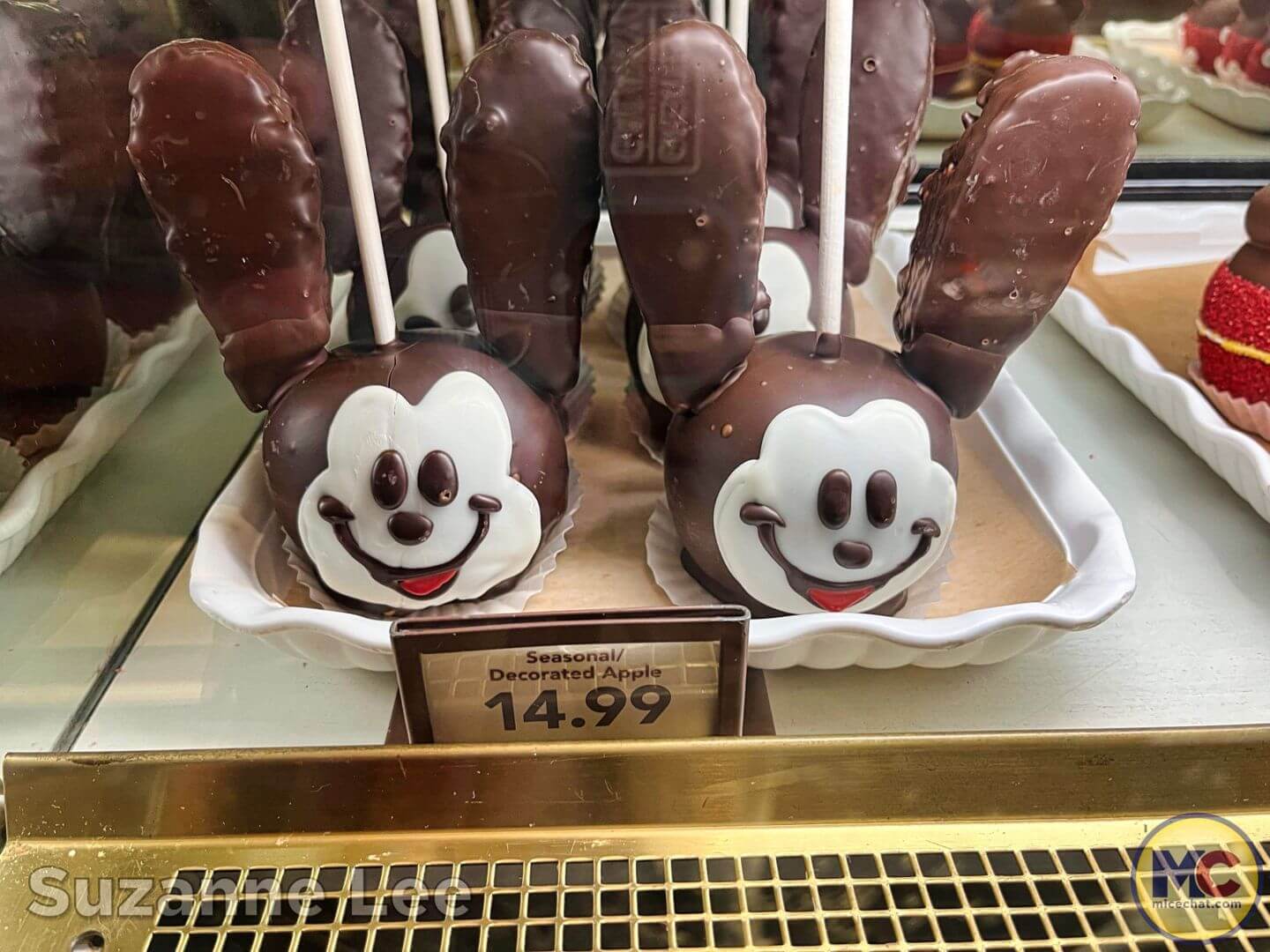 , Disneyland Update: Dropped off, Burned Out & Forgotten…