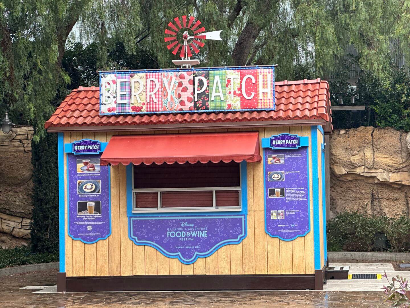 , Disneyland Update: Magic Finally Happened!