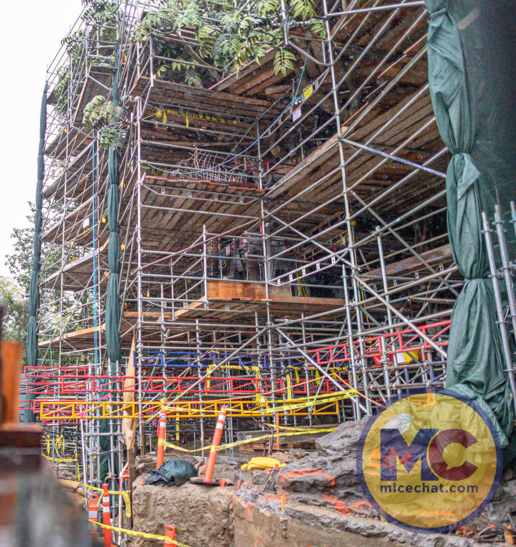 , Disneyland Update: Magic Finally Happened!