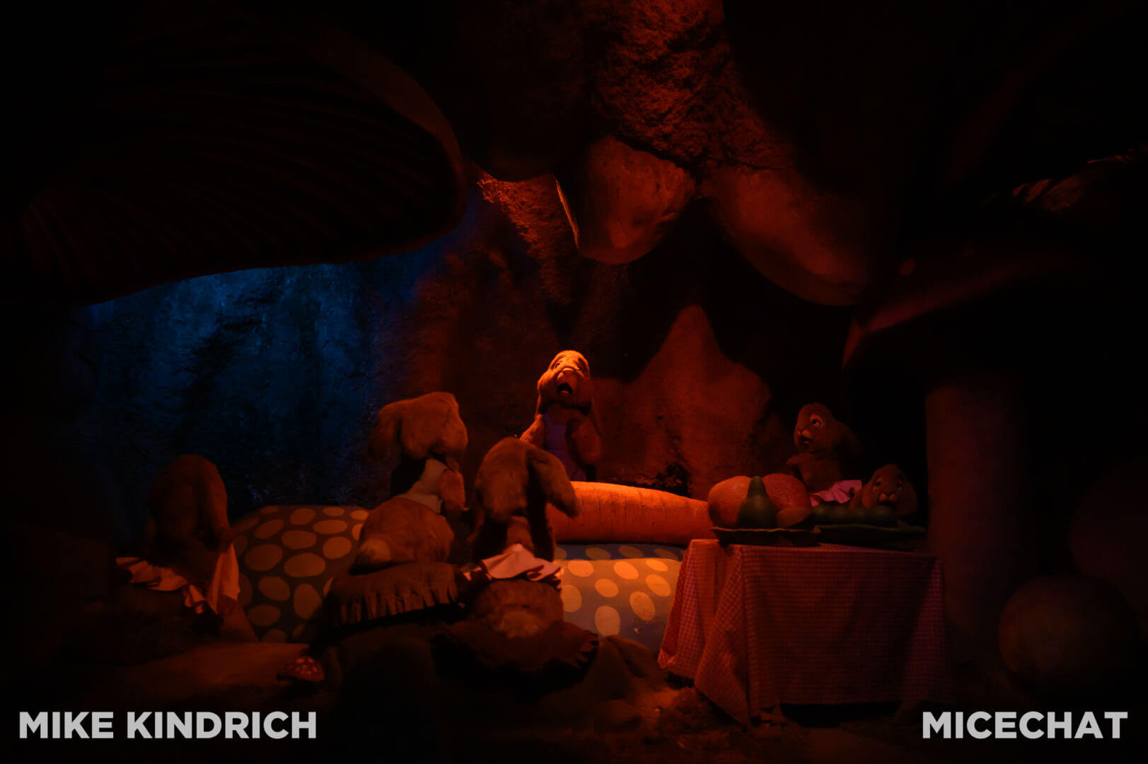 , Disneyland Update: Dropped off, Burned Out & Forgotten…