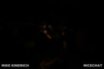 Disneyland_Critter Country_Splash with poor lighting (1 of 1)-12