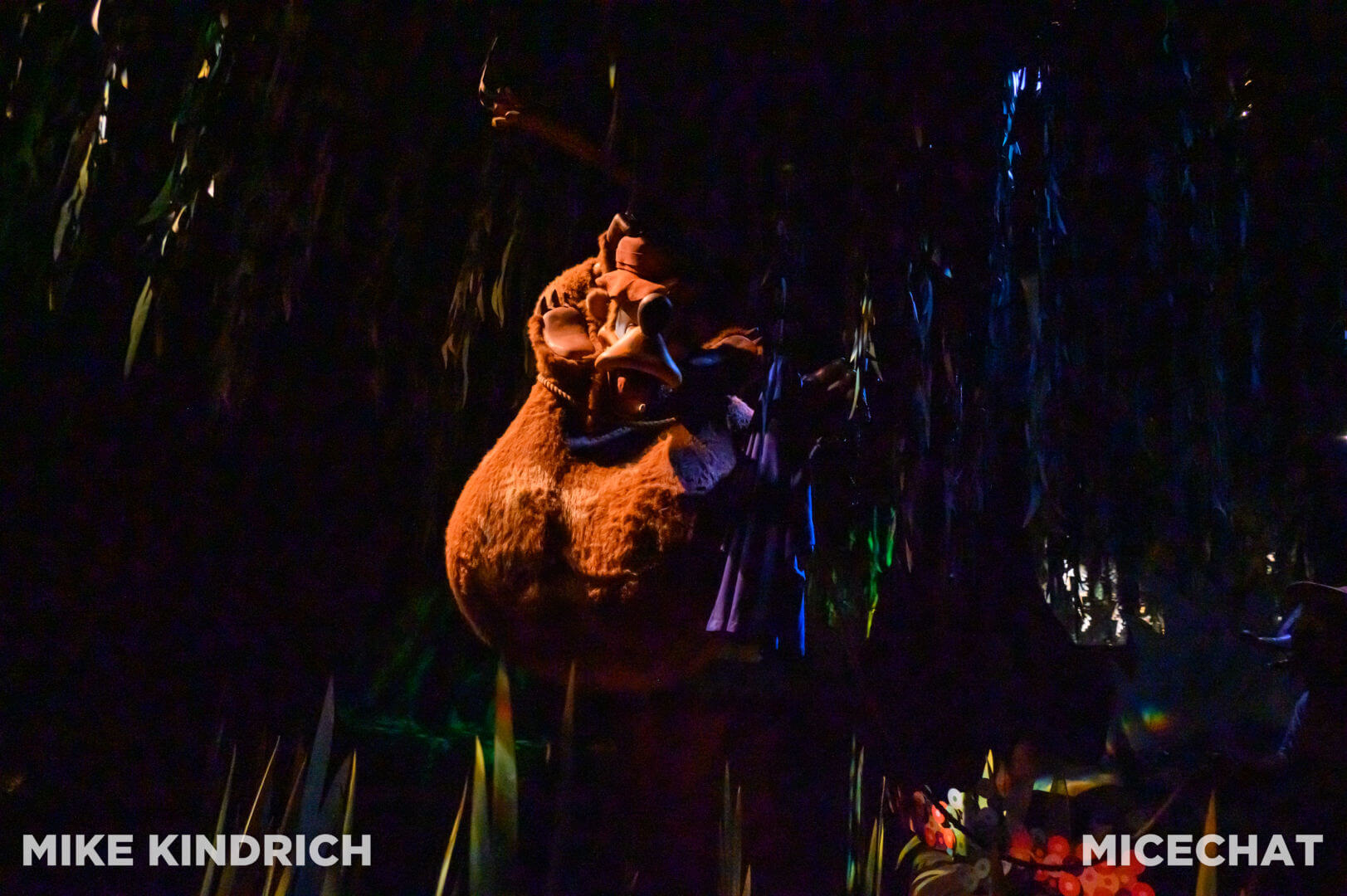 , Disneyland Update: Dropped off, Burned Out & Forgotten…