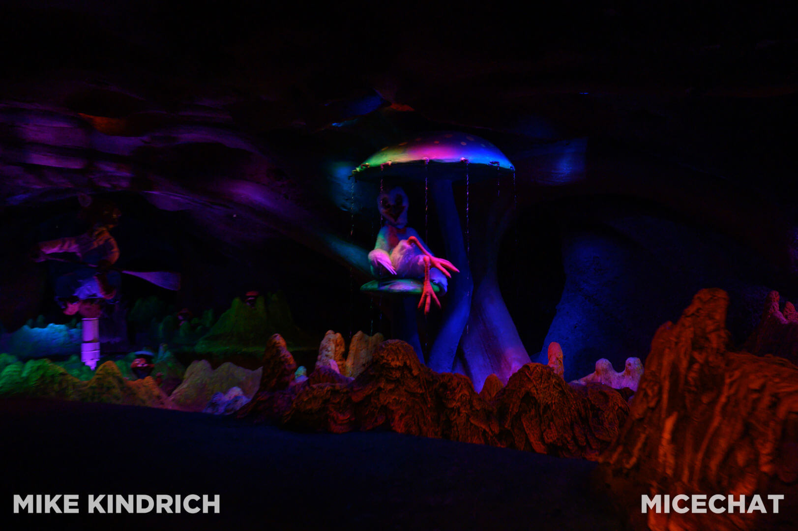 , Disneyland Update: Dropped off, Burned Out & Forgotten…