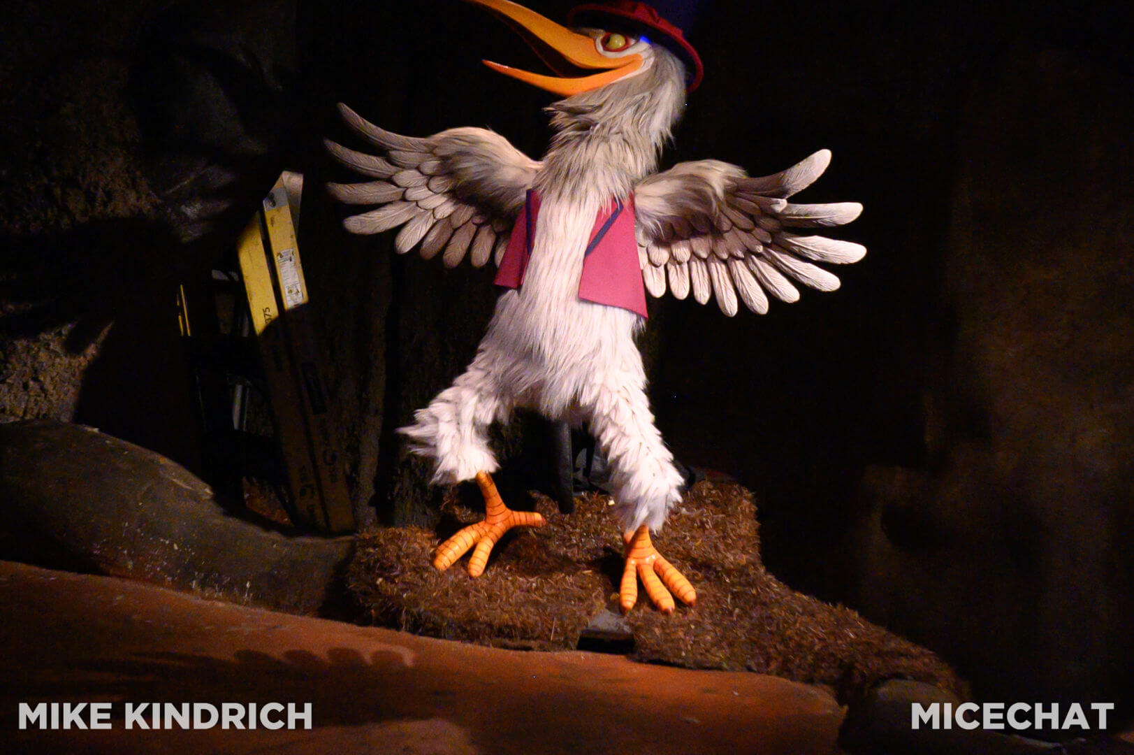 , Disneyland Update: Dropped off, Burned Out & Forgotten…