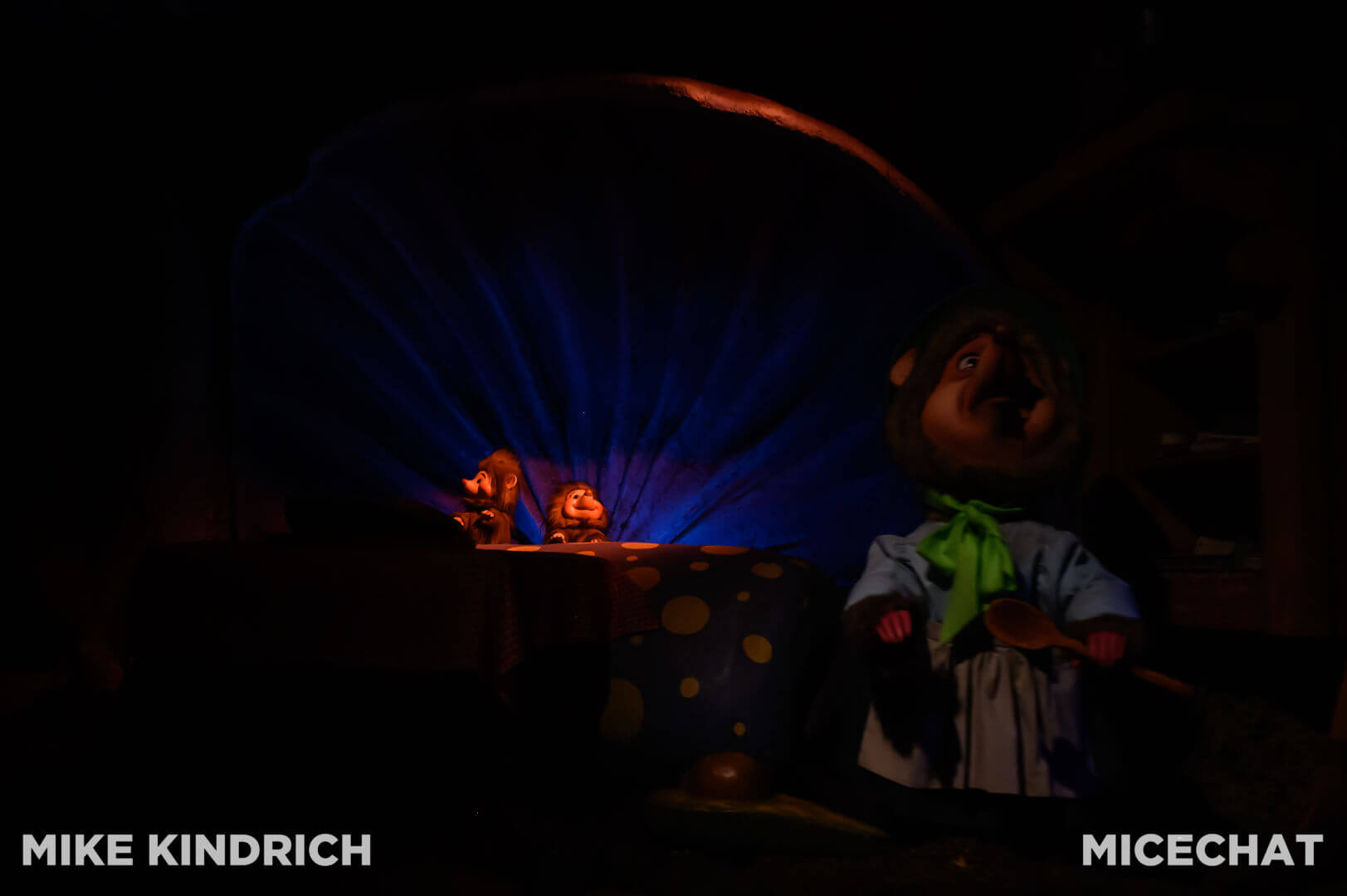 , Disneyland Update: Dropped off, Burned Out & Forgotten…