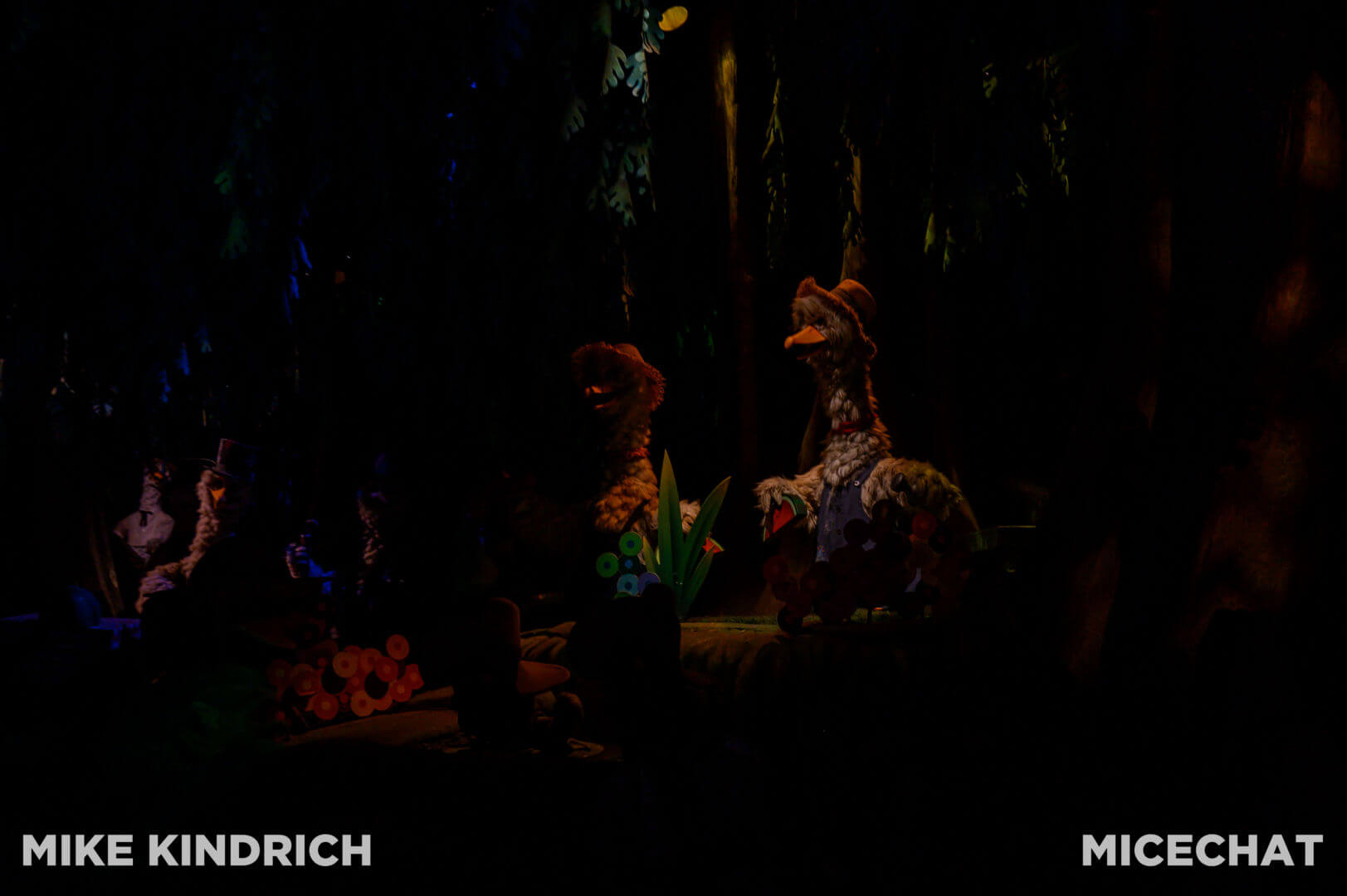 , Disneyland Update: Dropped off, Burned Out & Forgotten…