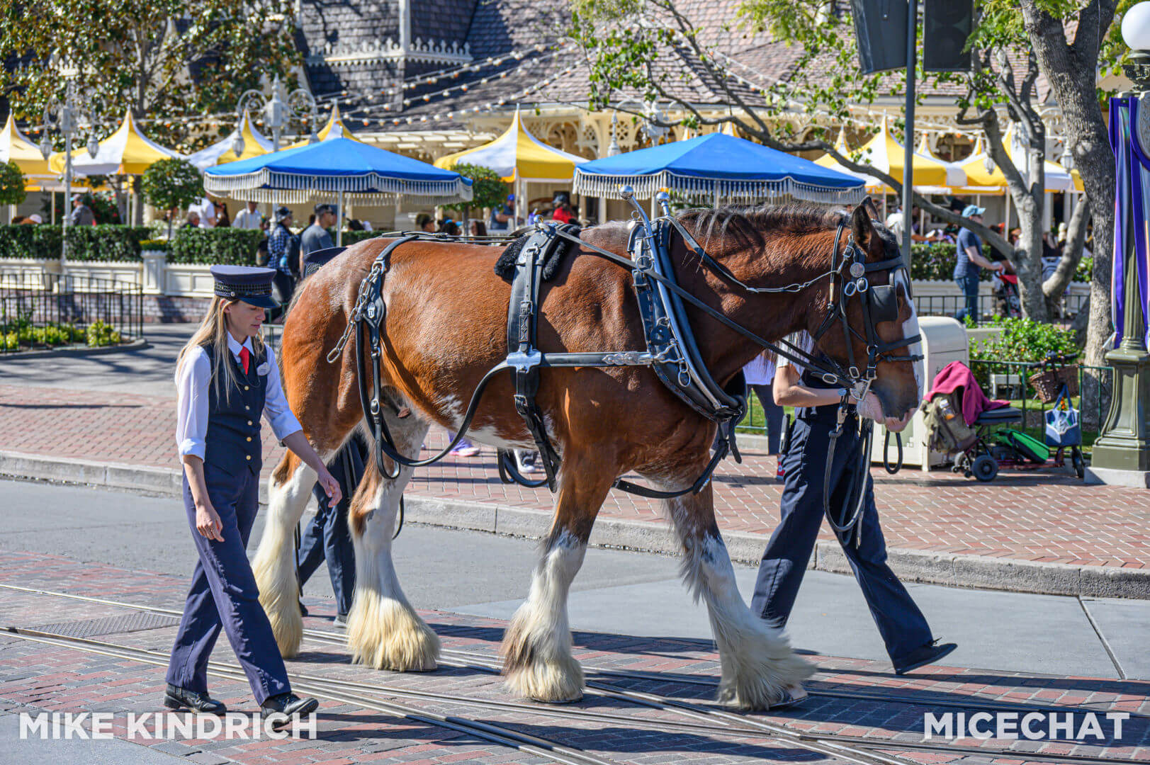 , Disneyland Update: Big Profits, Bigger Cuts &#038; Blue People!