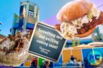 Downtown Disney News New Restaurants Hot Chicken Great Maple More