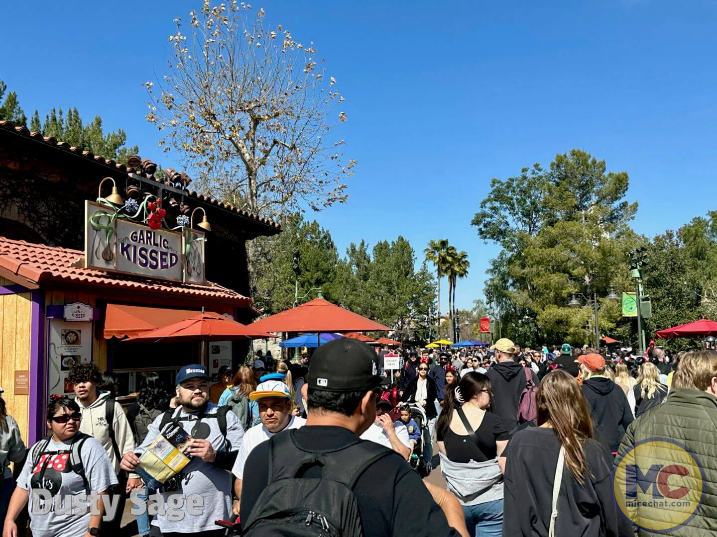 , Disneyland Update &#8211; Exciting Finds, Feasts, and Oswald Meets!