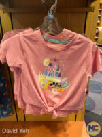 Disneyland-Disney Parks Collection by Joey Chou-1