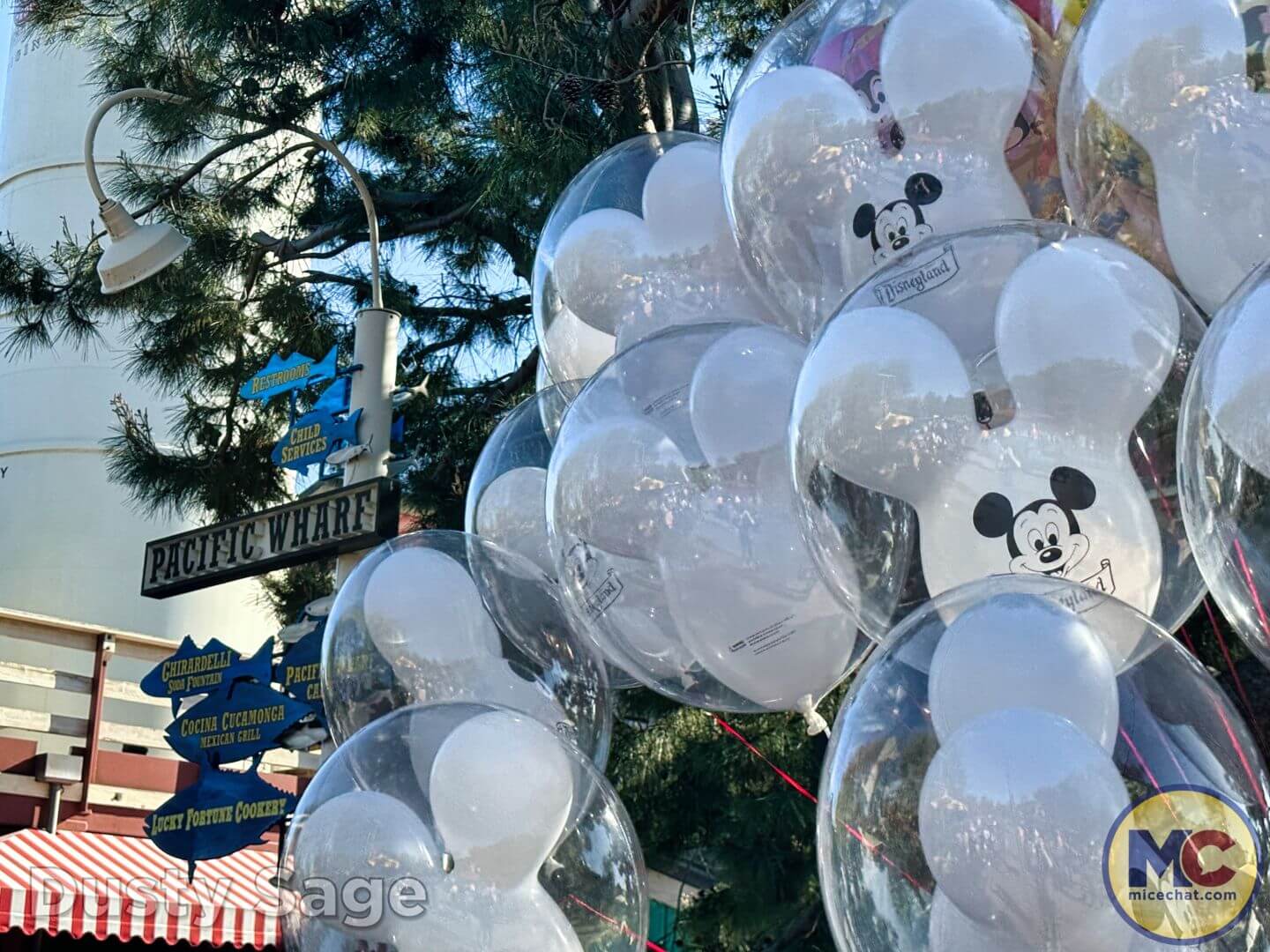 , Disneyland Update: Avengers Campus Construction, Splash Dash, Re-Tooned &#038; More