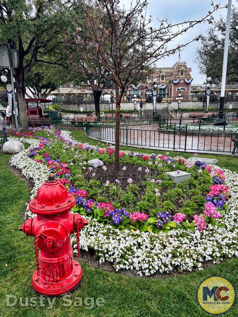 , Disneyland Update – The One-Two Punch!