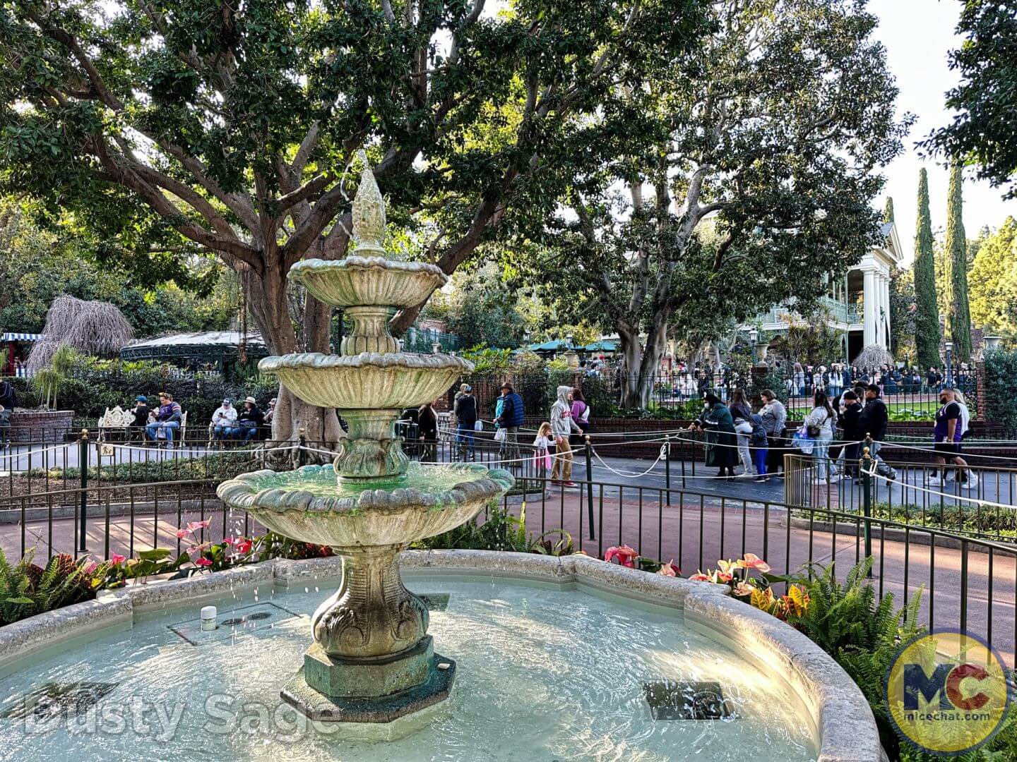 , Disneyland Update – Exciting Finds, Feasts, and Oswald Meets!