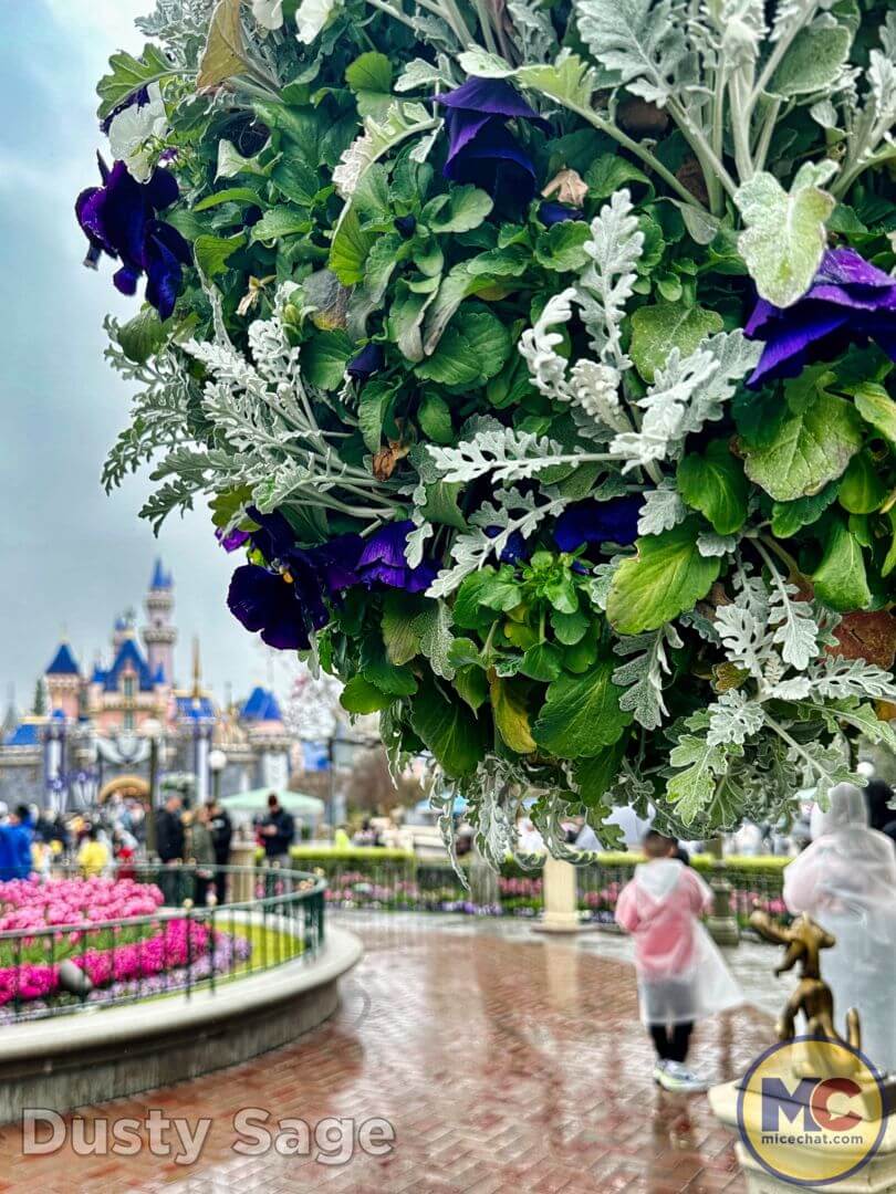 , Disneyland Update – The One-Two Punch!