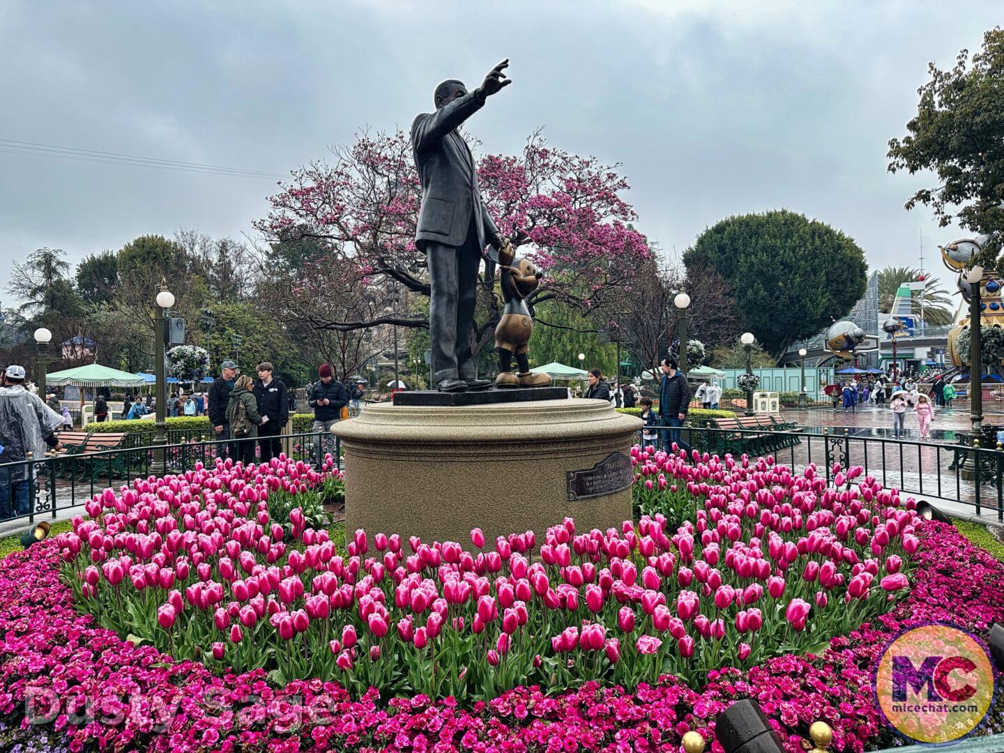 , Disneyland Update – The One-Two Punch!