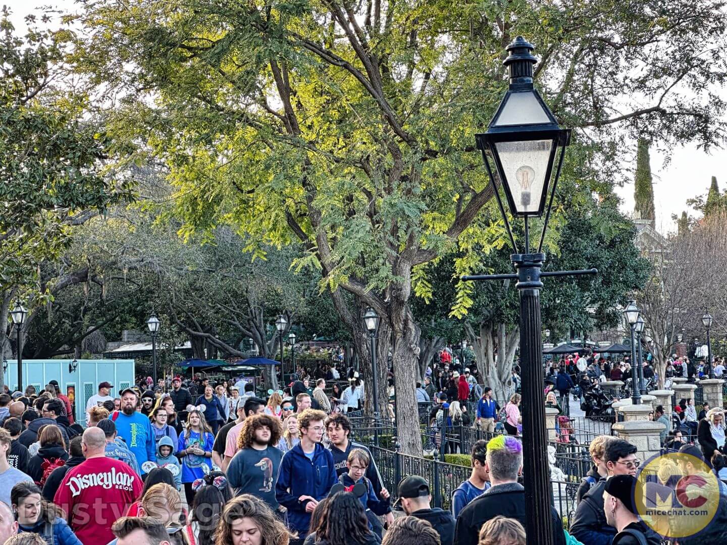 , Disneyland Update – The One-Two Punch!