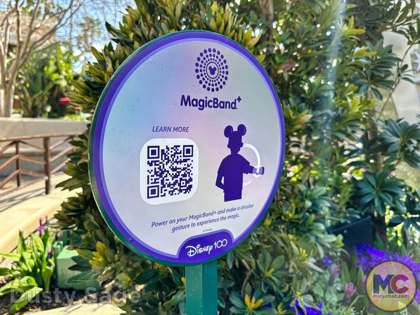 , Disneyland Update – Exciting Finds, Feasts, and Oswald Meets!
