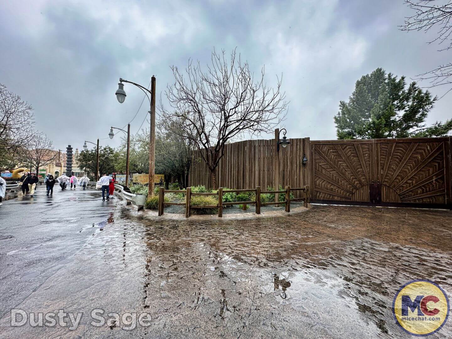 , Disneyland Update – The One-Two Punch!