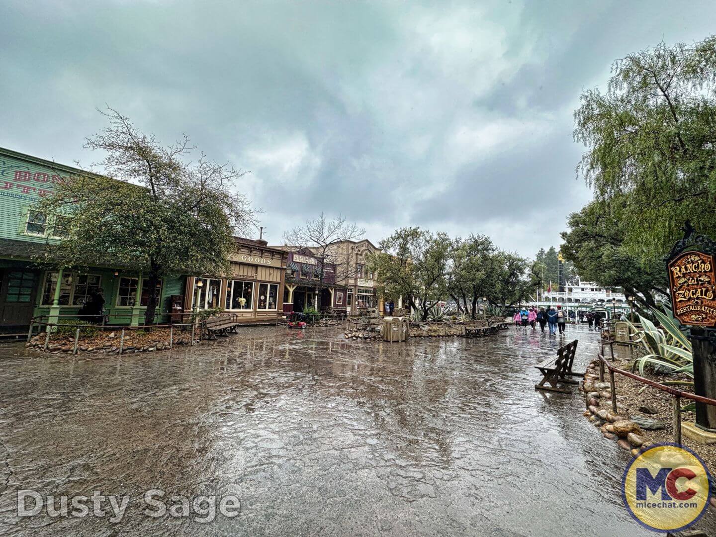 , Disneyland Update – The One-Two Punch!