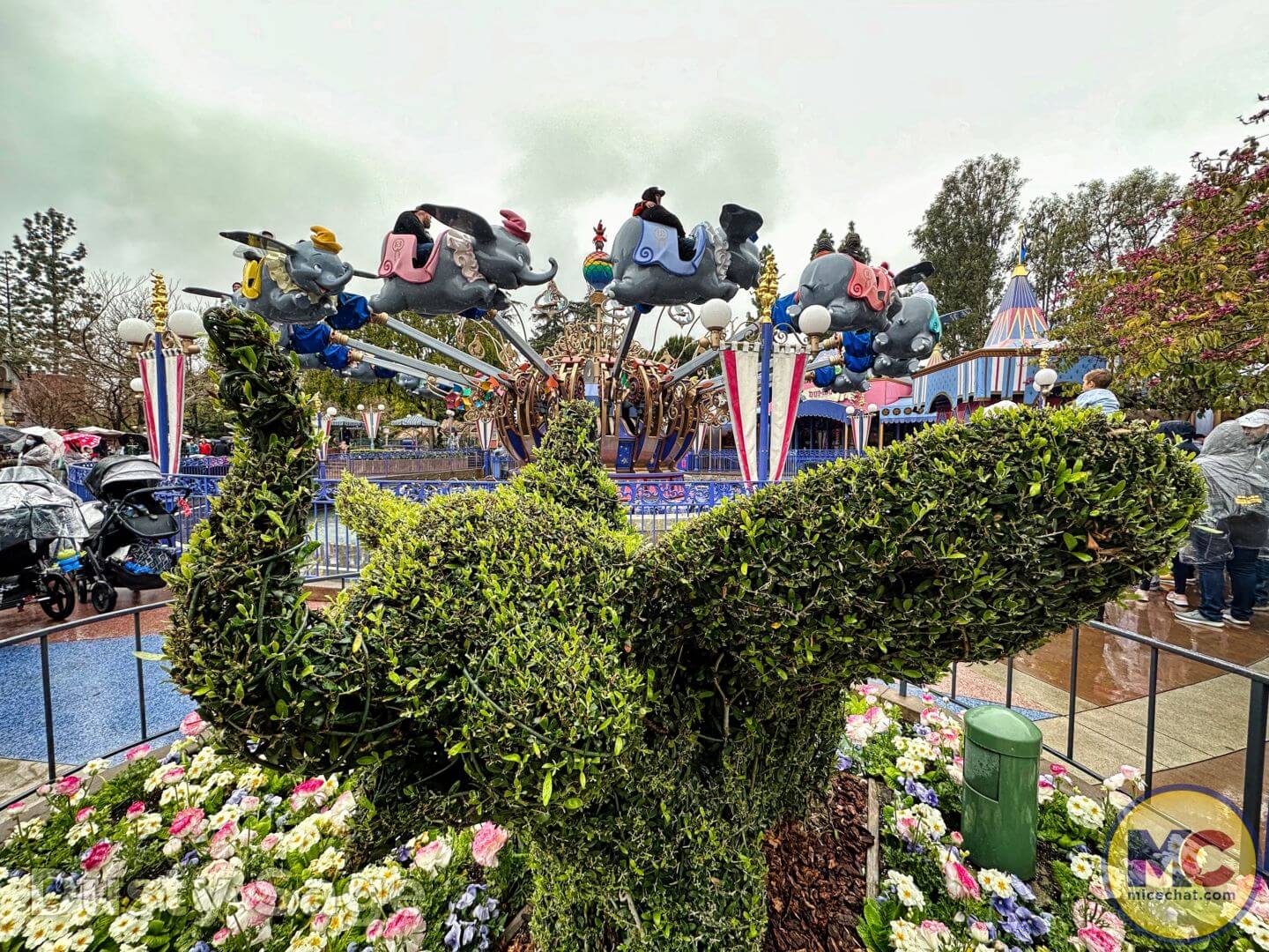 , Disneyland Update – The One-Two Punch!
