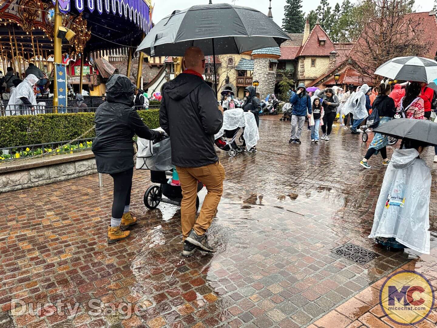 , Disneyland Update – The One-Two Punch!