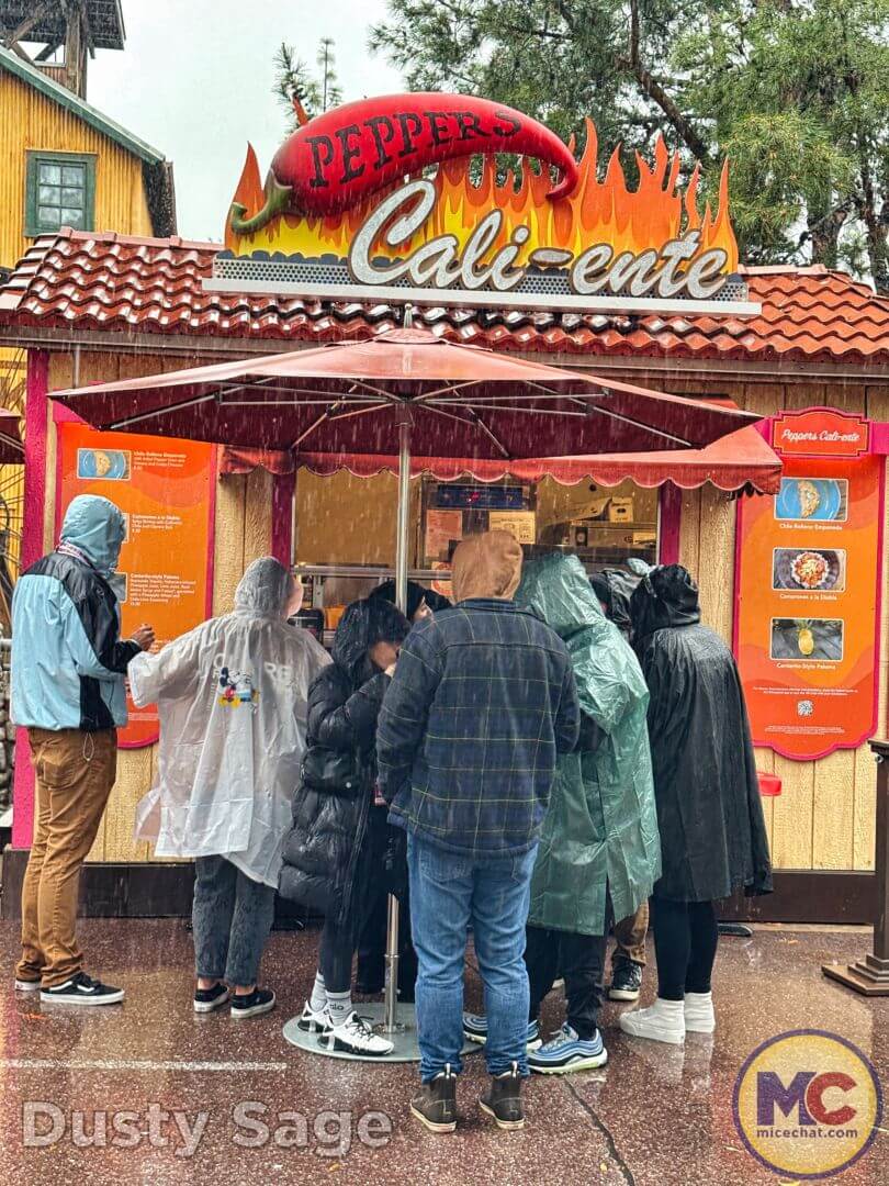 , Disneyland Update – The One-Two Punch!