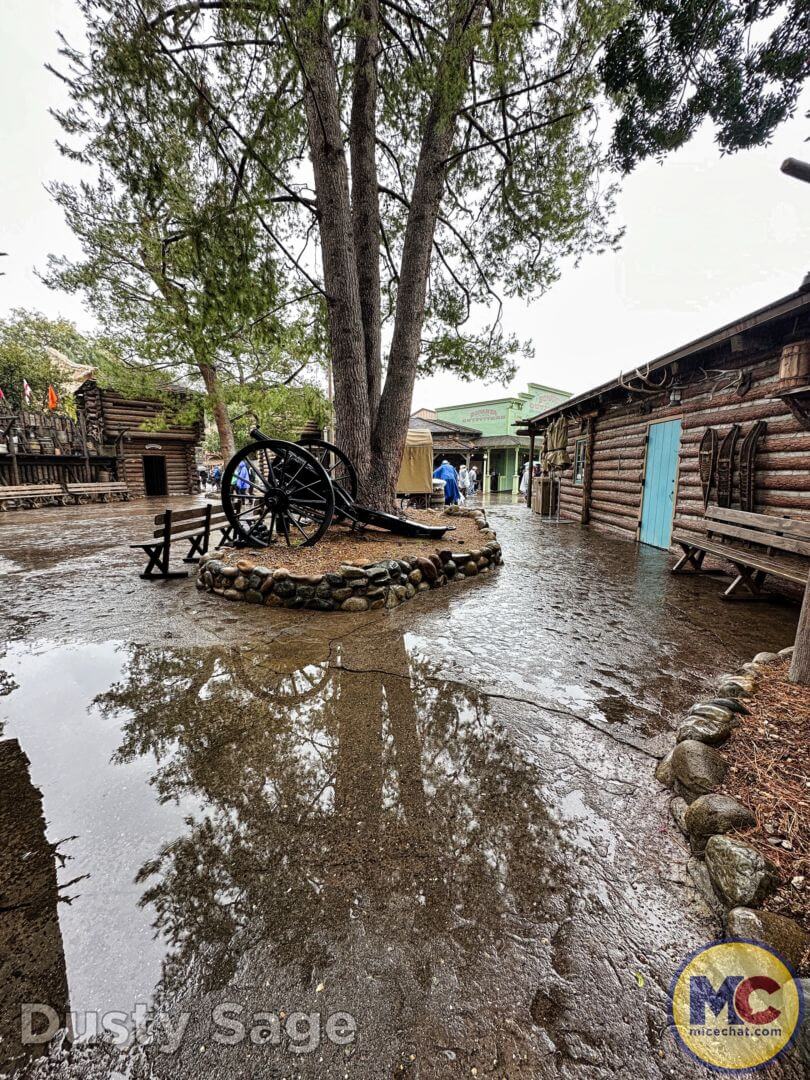 , Disneyland Update – The One-Two Punch!