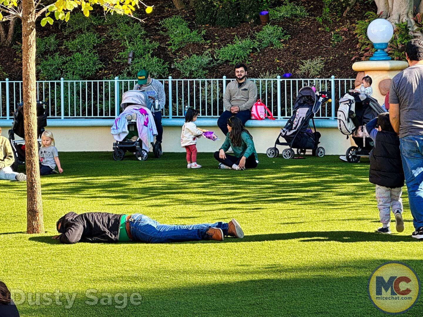 ToonTown, Disneyland ToonTown REOPENED – Essential Guide to Rides, Food, Shopping & More!