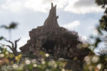 Disneyland Splash Mountain attraction Critter Country DSC_0139-X5