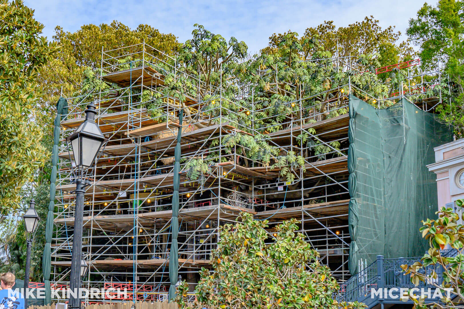 , Disneyland Update – The One-Two Punch!