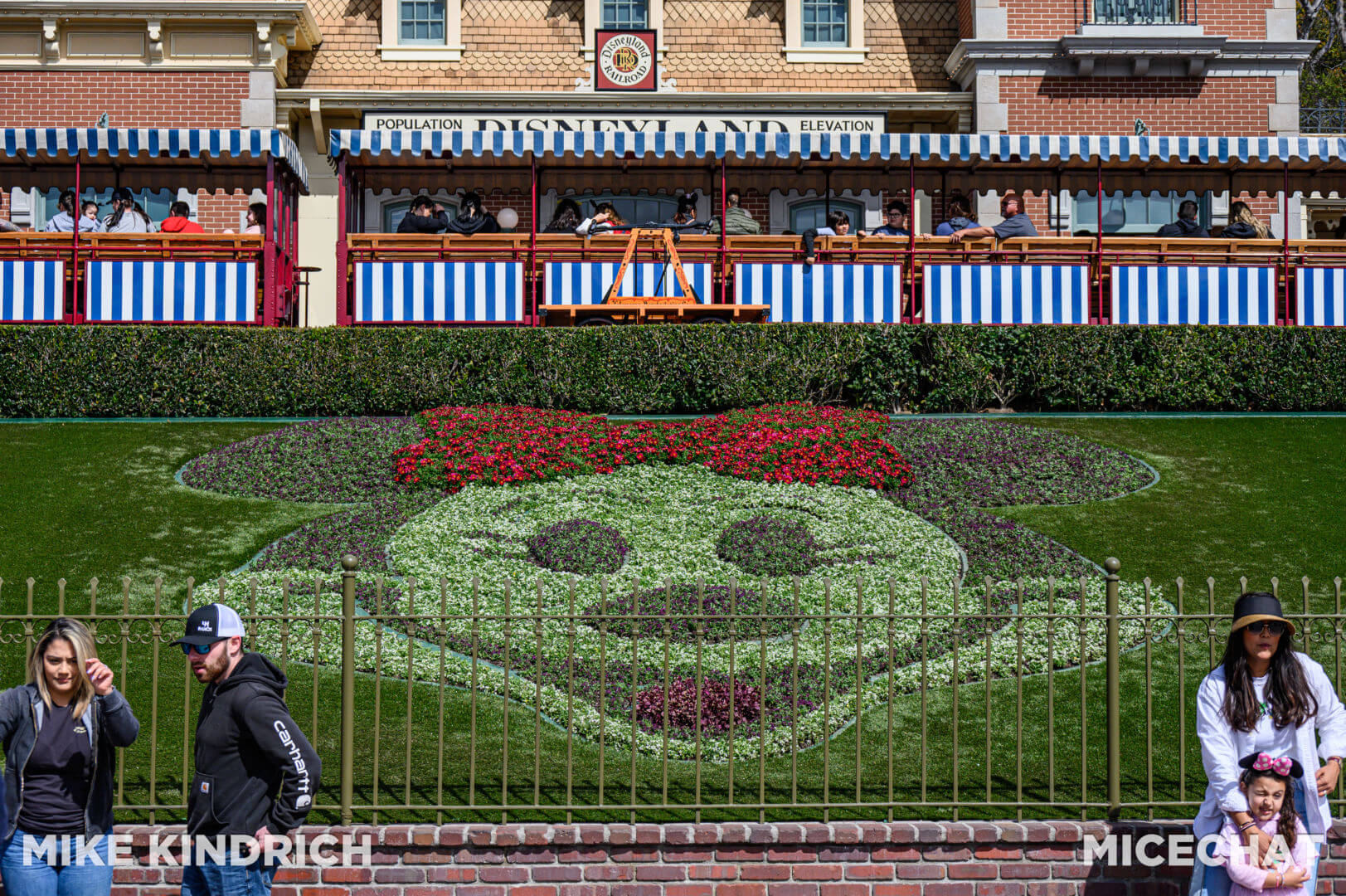 , Disneyland Update – The One-Two Punch!