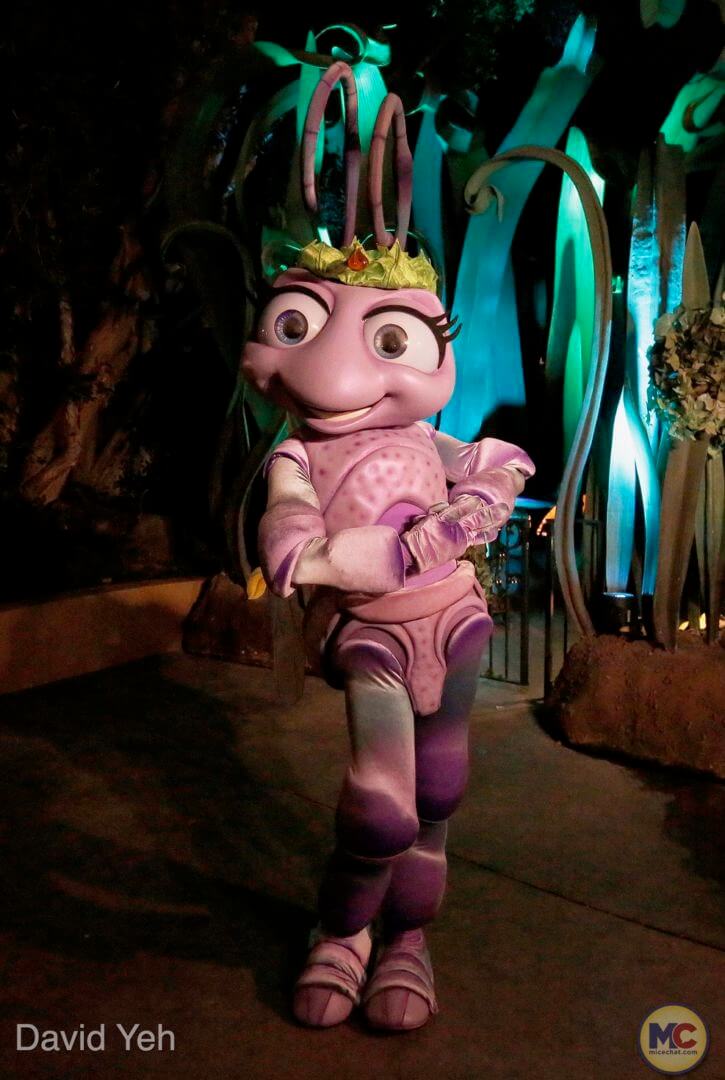 , Disneyland Update – The One-Two Punch!