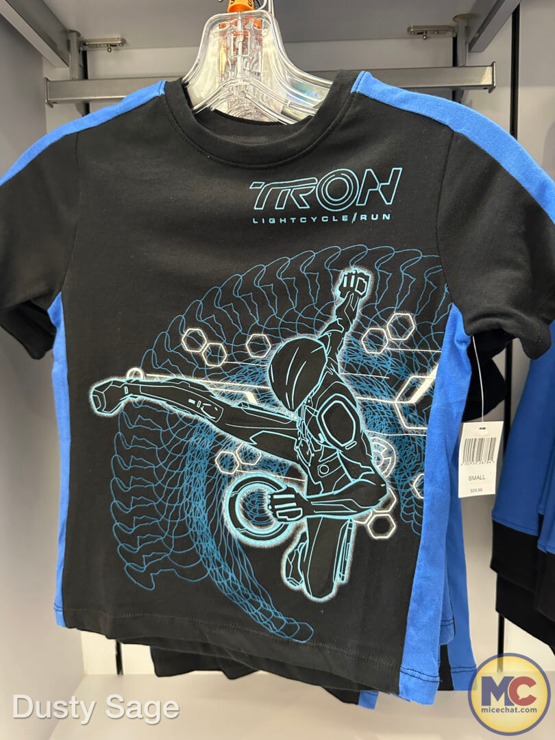 TRON Lightcycle Run, Walt Disney World TRON Lightcycle / Run – Everything You Need To Know!