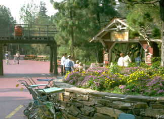 Bear Country at Disneyland