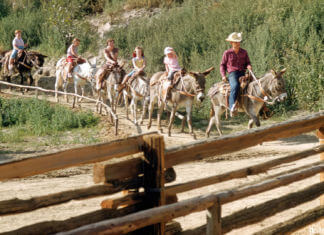 Mule Pack, Rainbow Ridge Pack Mules, and Pack Mules Through Nature’s Wonderland