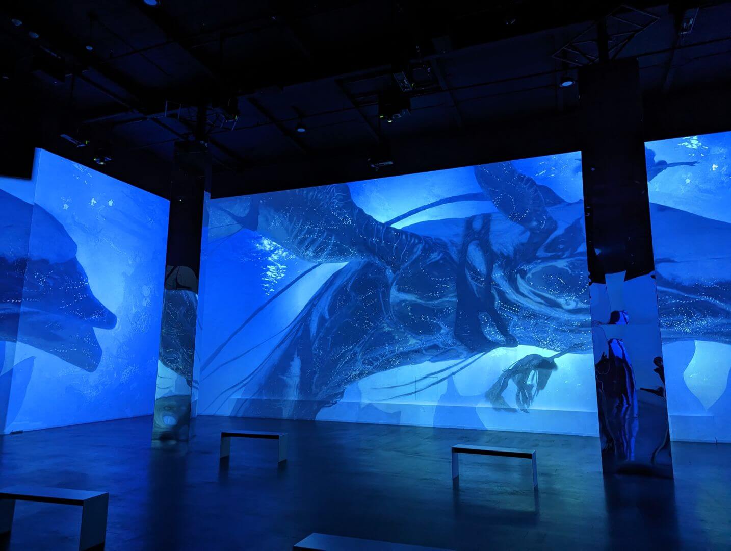 Avatar: The Way of Water, Step into “Avatar: The Way of Water” an Immersive One-Weekend-Only Exhibition