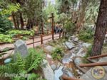 DCA – Redwood Creek Challenge Trail