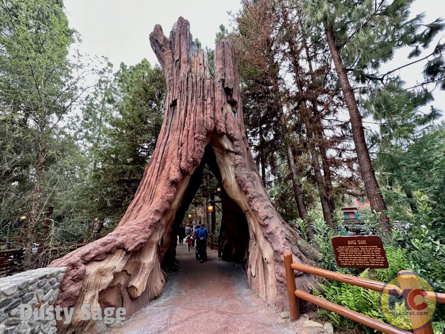 Redwood Creek Challenge Trail