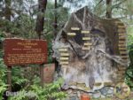 DCA – Redwood Creek Challenge Trail – Millenium Tree