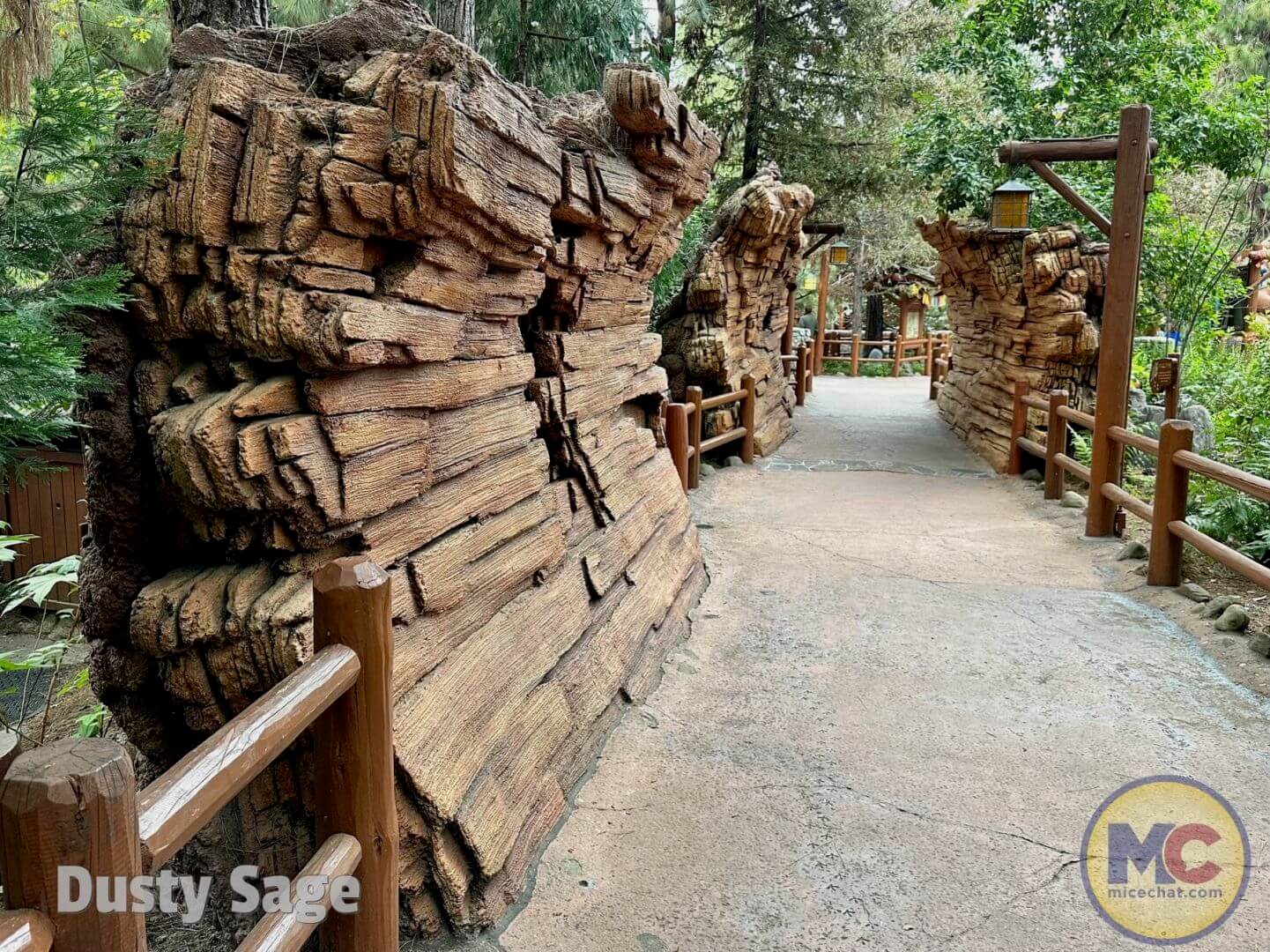 Redwood Creek Challenge Trail