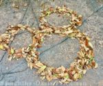 DISNEYLAND MICKEY OF LEAVES – Photo by Samantha Davis-Friedman