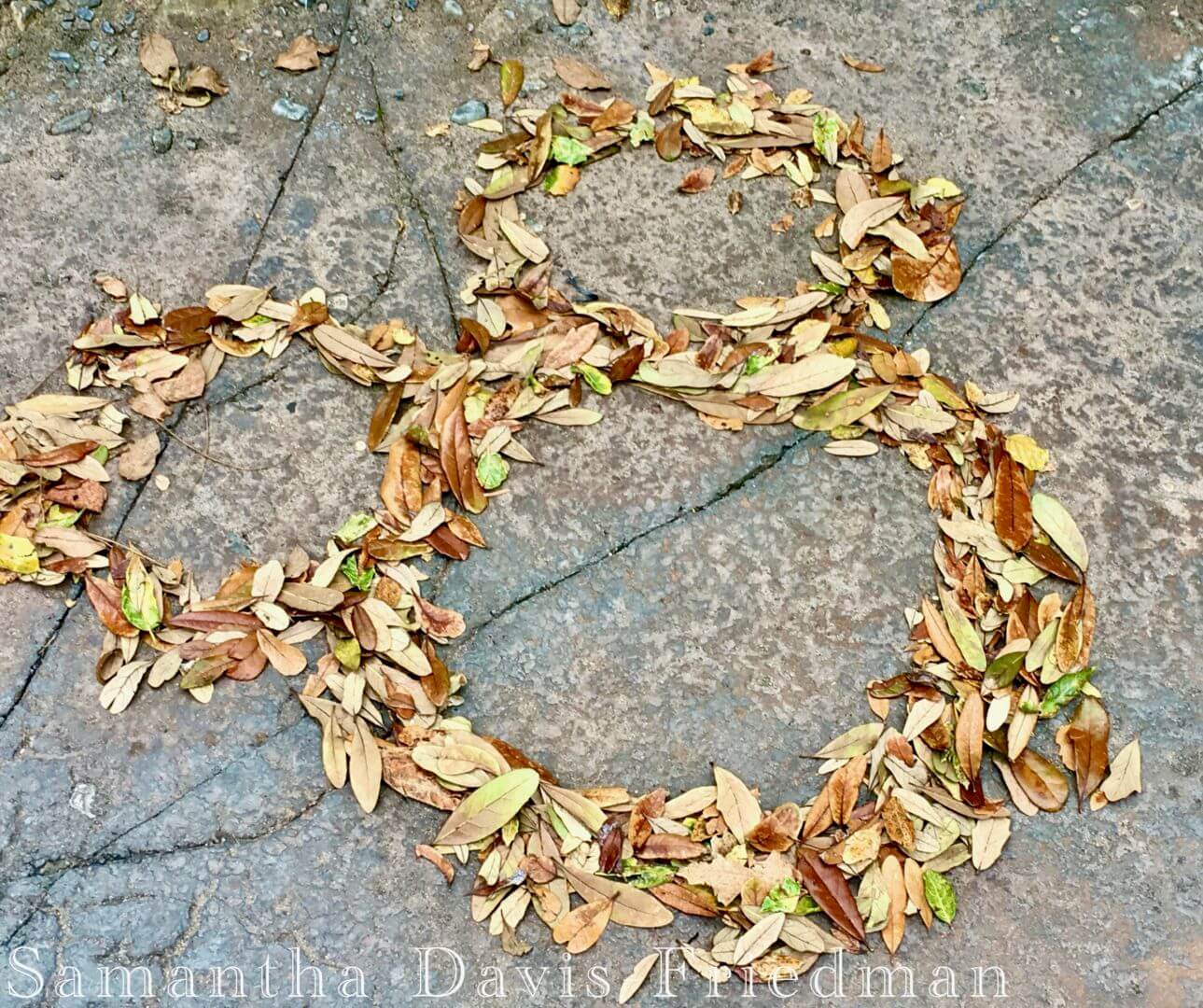 Mickey Mouse of leaves, Disneyland, Earth Month