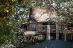 Disneyland Adventureland Treehouse construction Swiss Family Robinson DSC_4732-X5