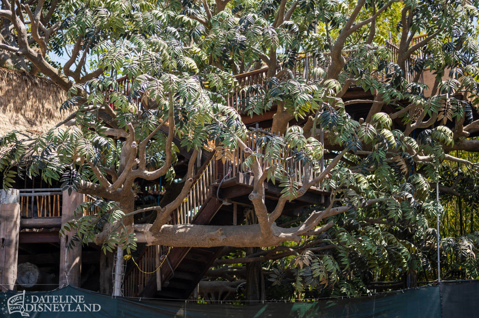 Disneyland, Disneyland Update: Fantasmic Aftermath, Spring Things & Construction Views